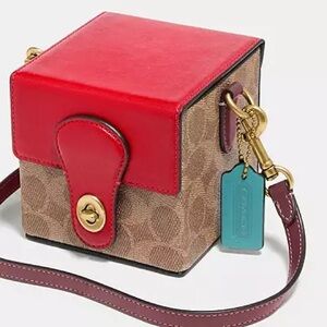 Coach Lunar New Year Square Bag 10